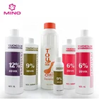 Professional Developer Hair Colour OEM Professional Hair Color Developer For Salon Professional Line Different Volume For Choosing Long Lasting Function