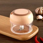 Kitchen Kitchen Kitchen Chopper Hot Sell Kitchen Accessories Visible Simple Vegetable Meat Mini Chopper
