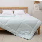 Custom Color Various Size Large Size Quilted Quilt Filled With Polyester Fiber Quilt Comforter With Hearts