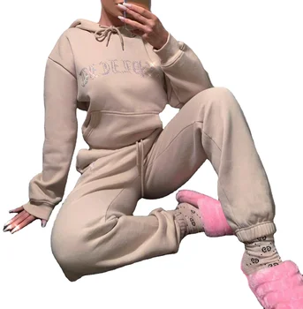 Droppshipping custom 2021 Hot selling Hooded Women warmth Sets Women Winter 2 Piece Set tracksuit Women Fall Clothes