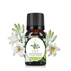 Oil 100% Natural Pure Essential Oil Hotel/Perfume/Flora/Woody