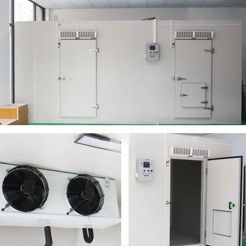 Unit Cooler, 110v, Super quick freeze - detail 12