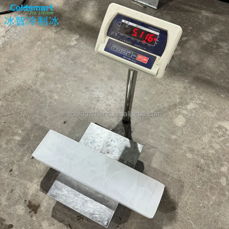 South Africa Brine Motor, 500kg, 1Ton, Stainless, Steel - detail 10