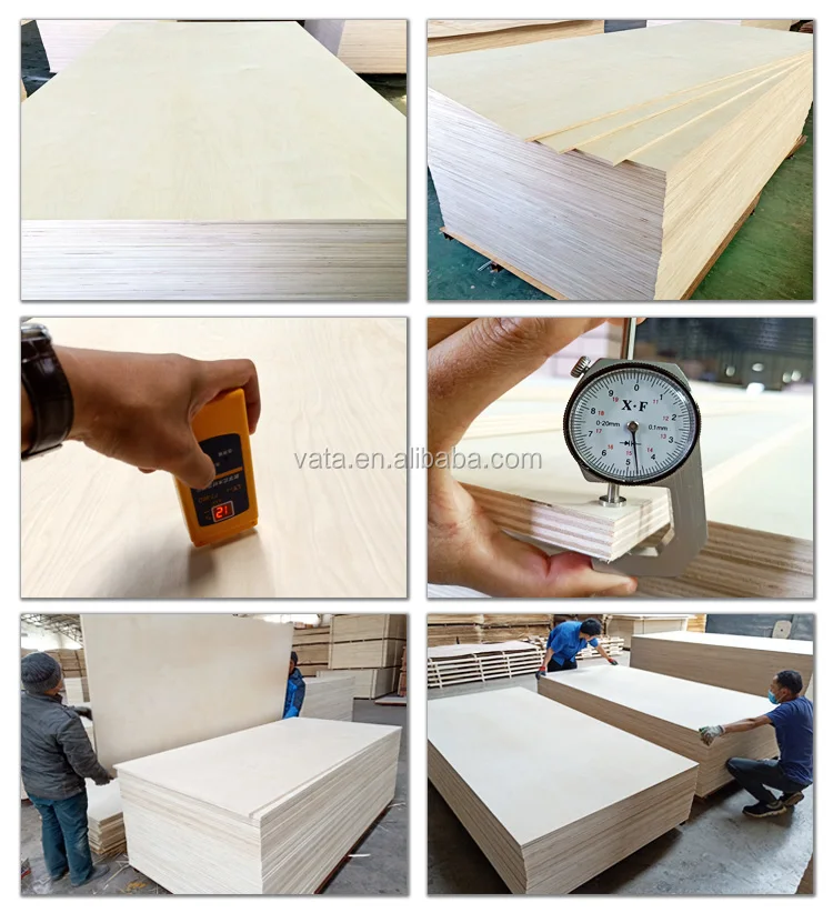 (Birch Plywood)