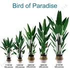 Sky Plant Artificial Quality Plants Customized Artificial Tree For Sale Sky Birds Plant Silk Bird Of Paradise