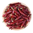 Pepper Peppers Best Selling Paprika Pepper Dry Red Pepper Hot Peppers Wholesale