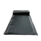 20mm Drainage Board 20mm Dimple Height Roof Garden HDPE Drainage Board For Building And Construction