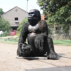 Life Size Animatronic Animal 3d Realistic Animal Model Life Size Animatronic Gorilla