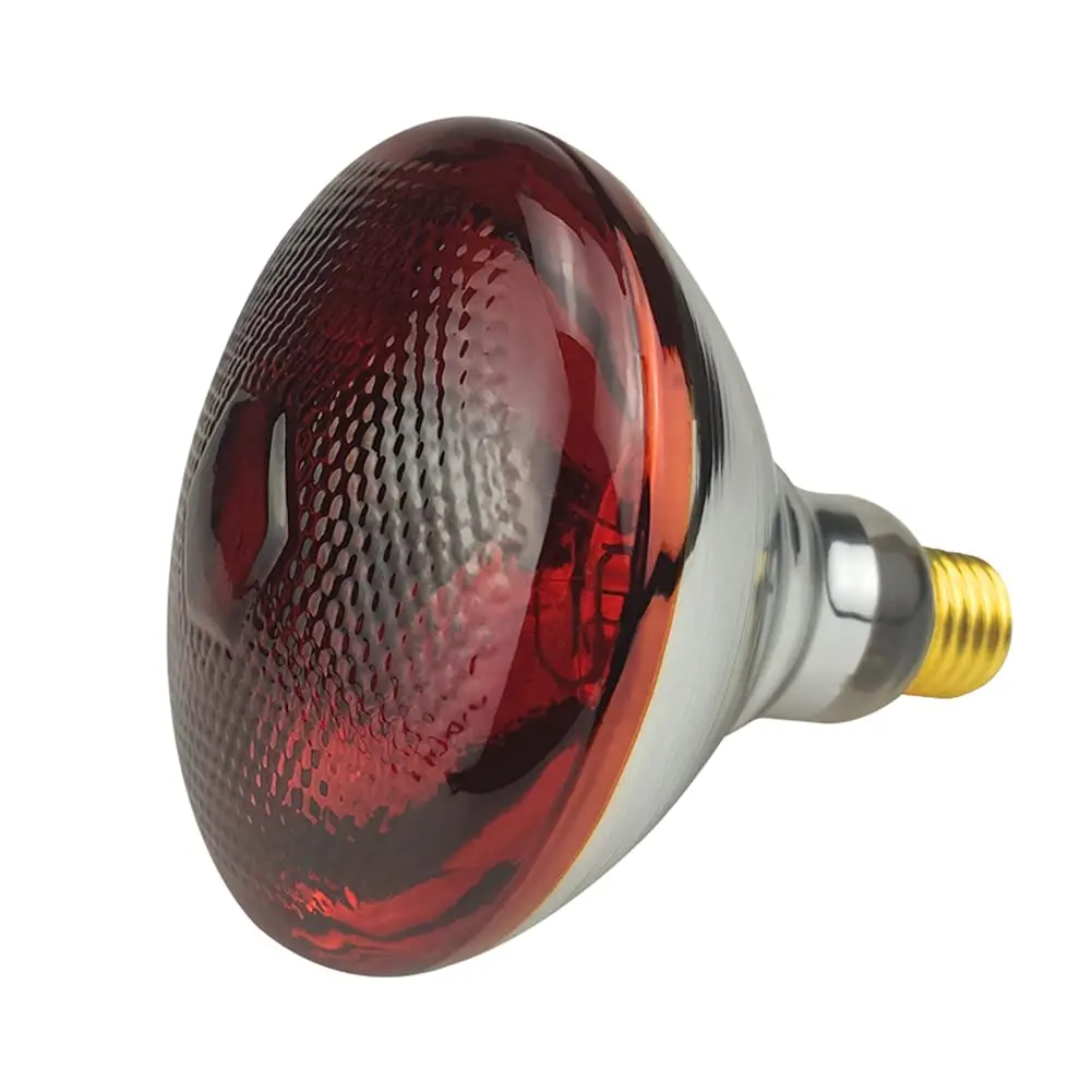 led heat lamp for chickens