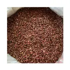 Red Redred Hotpot Best Partner Red Chinese Pepper Natural Raw Materials Full Of Numbness Felling Cheap