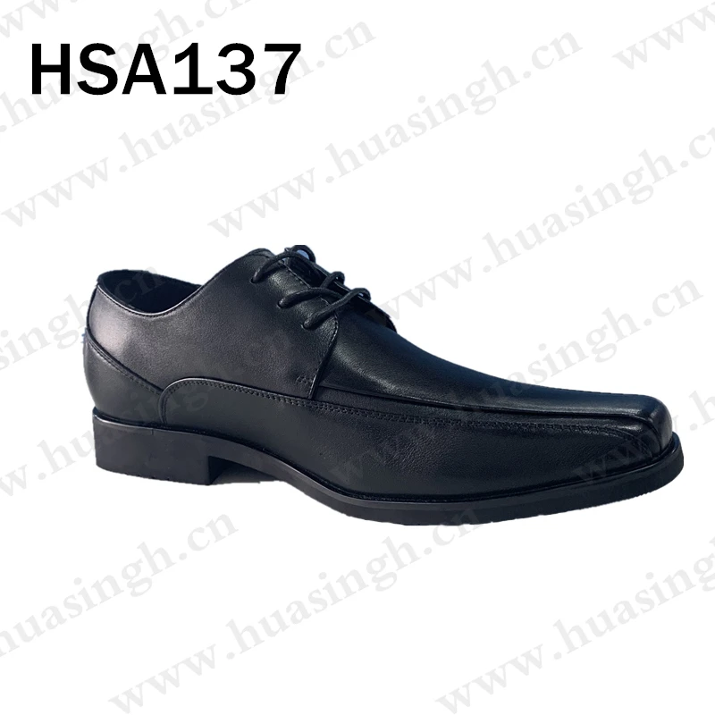 HSA137-3