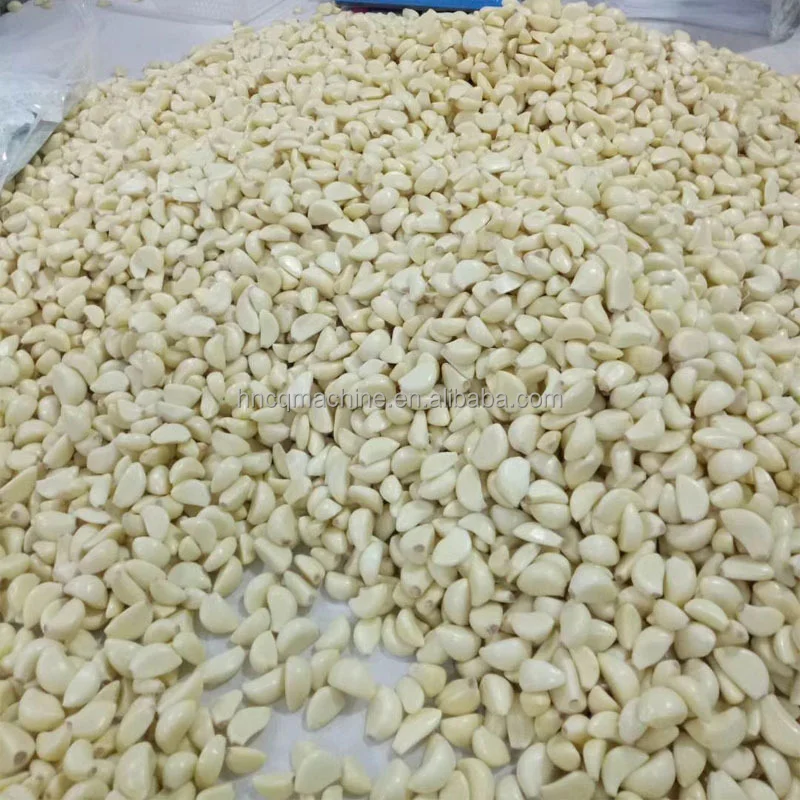 Garlic And Ginger Peeling Machine Peeling Garlic Artifact Machine Price