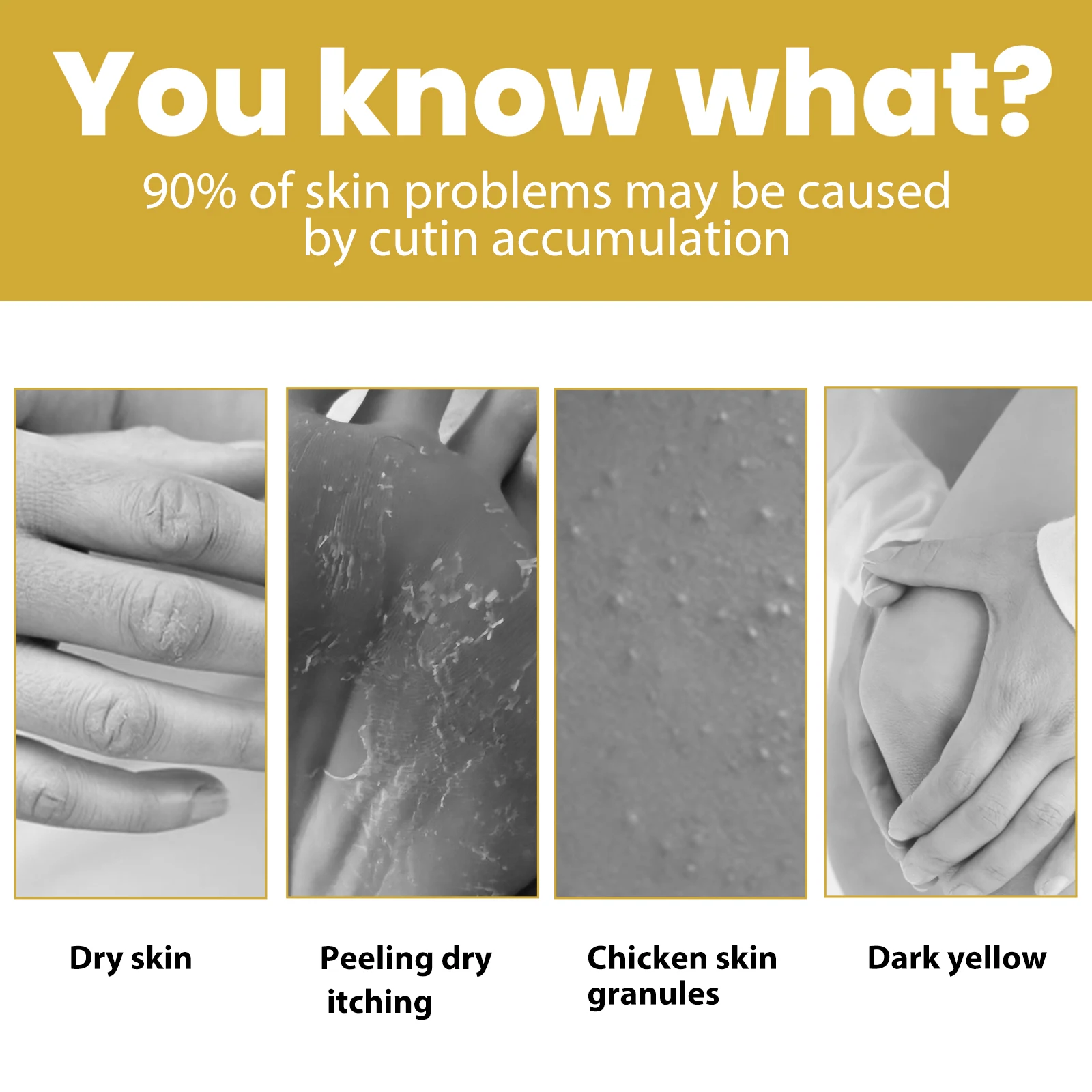 //sc04.alicdn.com/kf/Hefa5d19190b64bd78ae1c46da1696673b/284713577/Hefa5d19190b64bd78ae1c46da1696673b.jpg_100x100