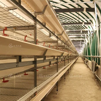 Automation Animal Husbandry Breeding Equipment H Type 4 Tiers 120 Capacity Broiler Chicken Cage for Meat Broiler Chicken