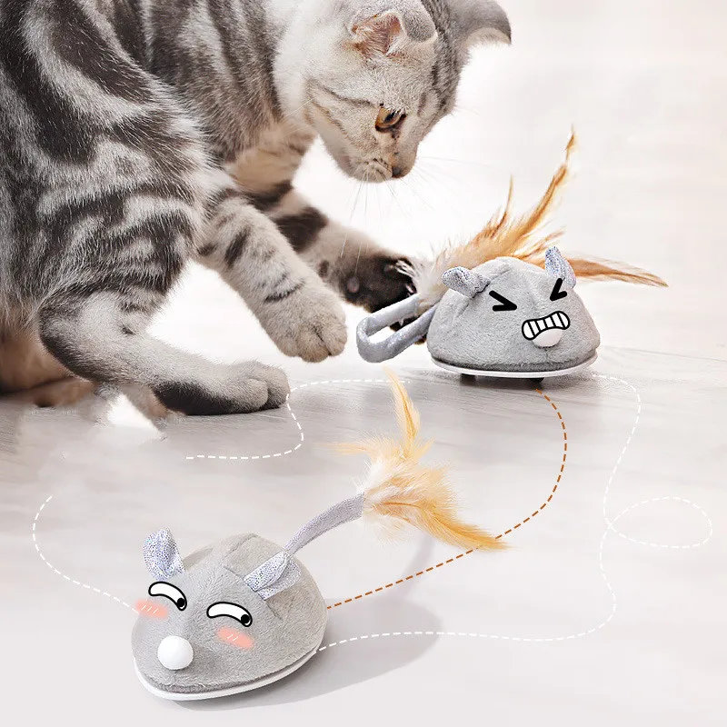 motorised mouse cat toy