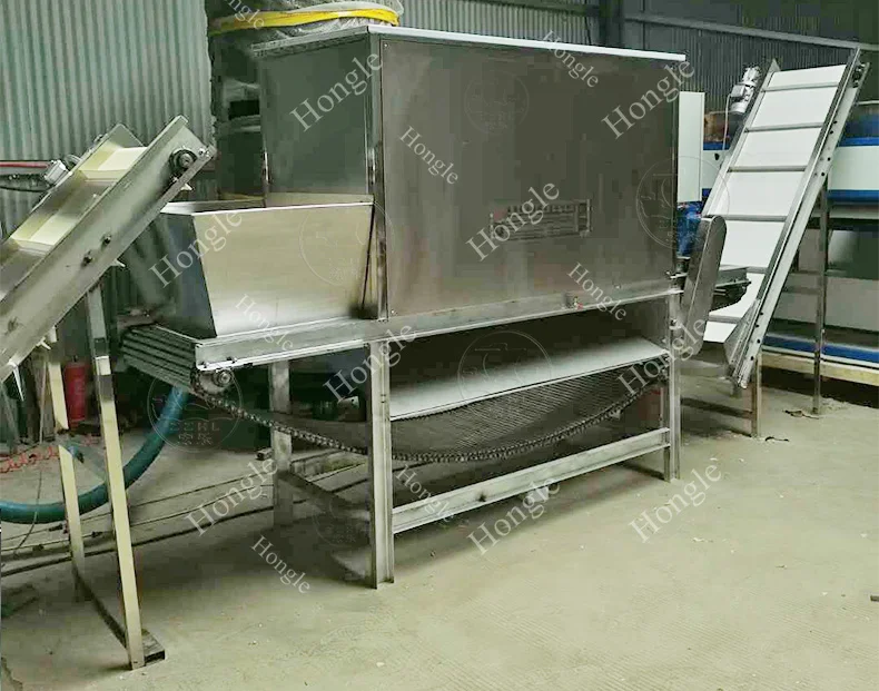 High Quality 400 Kg Chain Type Dry Garlic Onion Peeling Machine Auto Garlic Skin Peeler Machine details