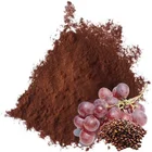 Natural Cheap Price Natural High Purity 95% UV Vinifera Extract Powder Grape Seed Extract