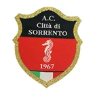 Football Patches Customize The European Football Club Badge Woven Patches