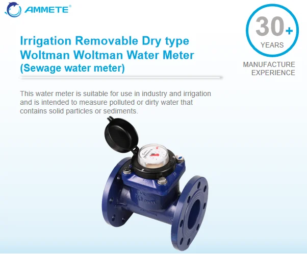 Irrigation Removable Dry Type Woltman Water Meters Buy 100mm Water