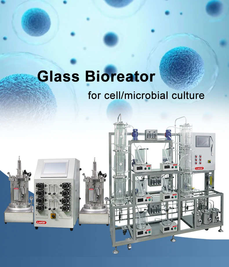 Lab Scale Bioreactor Laboratory Small Glass Bioreactor Fermenter 1l 2l