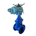 Flange Water Seal Gate Valve Ds/z44h-16c Ds/z44h-25c Ds/z44h-40c