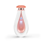 Beauty Fine Most Popular Beauty Skin Care Portable Mini Spray Electric Water Fine Facial Nano Mist Sprayer