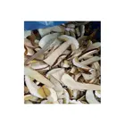 Whole Half-cut Cube IQF Porcini Mushrooms Fresh Boletus Edulis Frozen Fungus Natural Wild Porcini Mushrooms