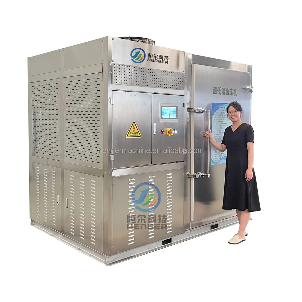 Small Quick Freezer, 100-1000kg, Plate Freezer - detail 4