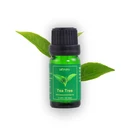 Tea Oil In Stock 100% Natural Organic Acne Repairing Massage Home SPA Tea Tree Essential Oil
