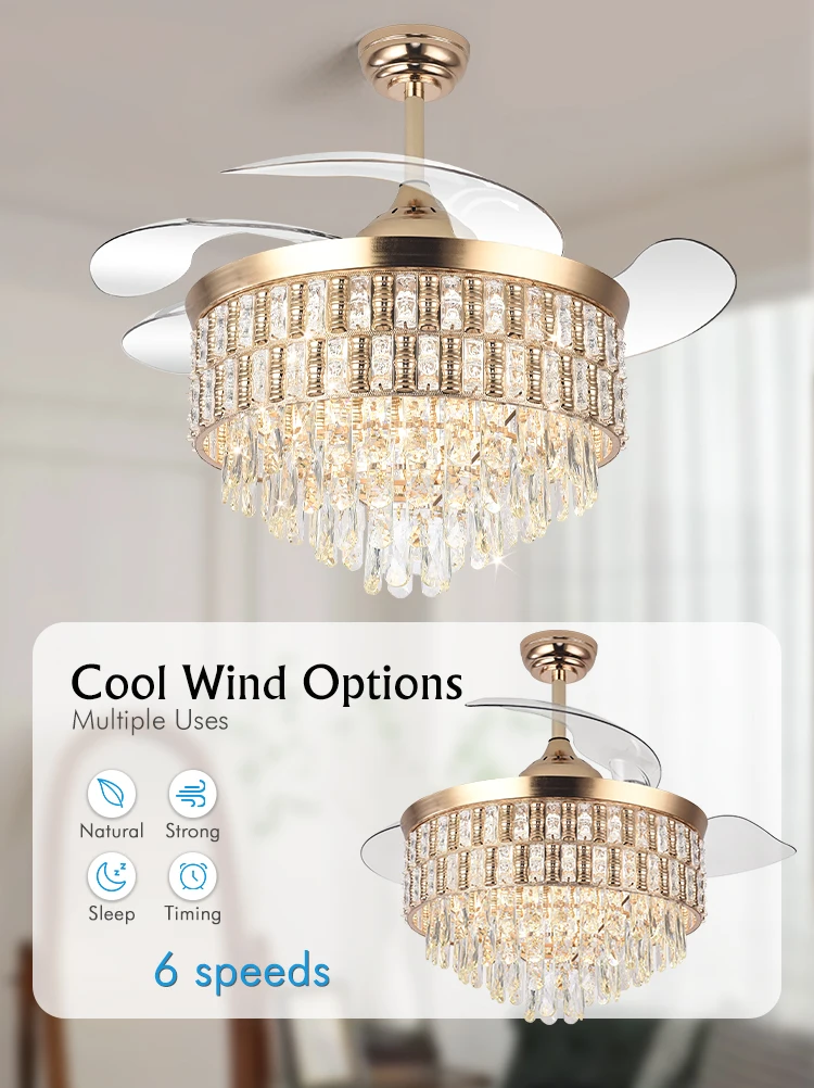 Ceiling Fan, Y313, LED, K9 - detail 2