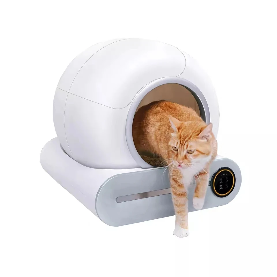 smart price cat litter