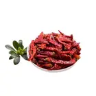 Dry Chili High Grade Healthy Dried Red Dry Chili Pepper For Food