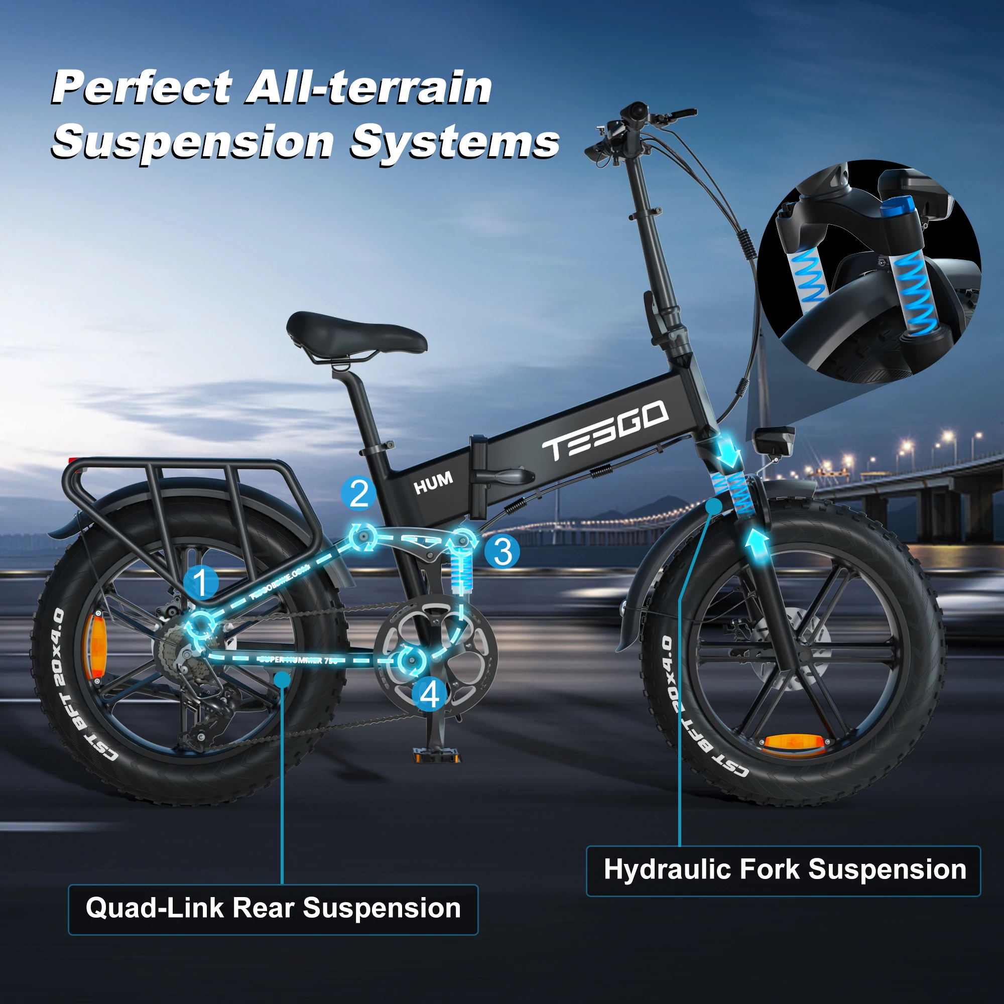 Tesgo Hum Pro W Motor And Samsung V Ah Battery Ebike With Fat