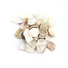 Sea Shell Shell 2021 Wholesale Natural Crushed Sea Shell Pearl Shell Chips