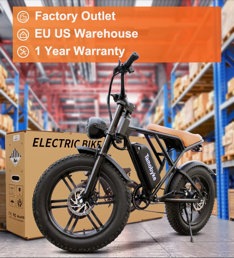Eu Us Warehouse 750w 48v Cheap Electric Bicycle Dirt Bikes Retro