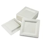 Personalized Plate Personalized Disposable Luxury Eco-Friendly Sugarcane Food Plate With Square Shape