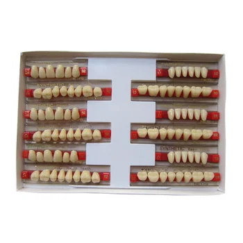 Denspay Lab 2 Layer Acrylic Teeth Full Set For Dentures With Factory