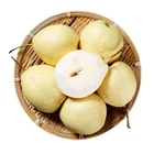 Pear Pear High Quality With Best Price Chinese Fresh Ya Pear Fruit
