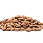 Nut Manufacturer Nut Snack Food Factory Organic Open Almonds