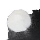 Polyamide Best Selling Factory Polyamide PA Hotmelt Adhesive Powder For Heat Transfer Printing