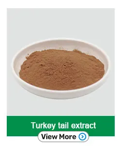 Turkey tail extract .jpg