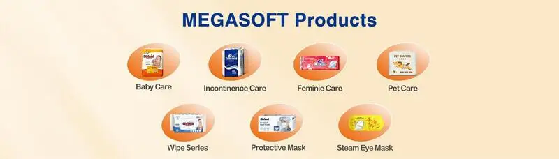 Megasoft Products.jpg