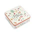Box Tin Tin Canister 2020 Hot Sale Tinplate Box Square Packaging Box Square Canister Candy Tin Box