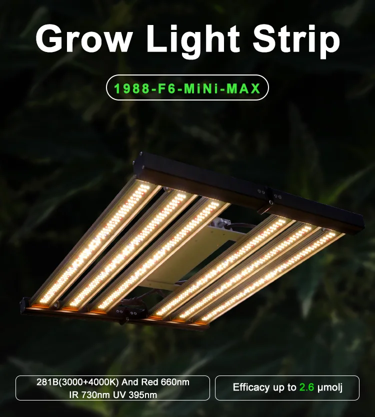 Meijiu Vertical Farming Full Spectrum Dimmable Led Grow Light 240w 320w