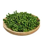 Green Pepper Eco-Friendly 100% Natural Organic Green Sichuan Pepper