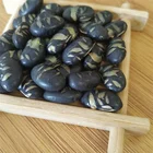 Bean Export Good Quality Fresh Chinese Baked Black Bean