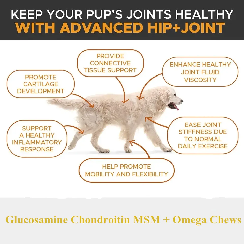 Oem/odm/obm Glucosamine Chondroitin Msm And Omega Soft Chews Fruits