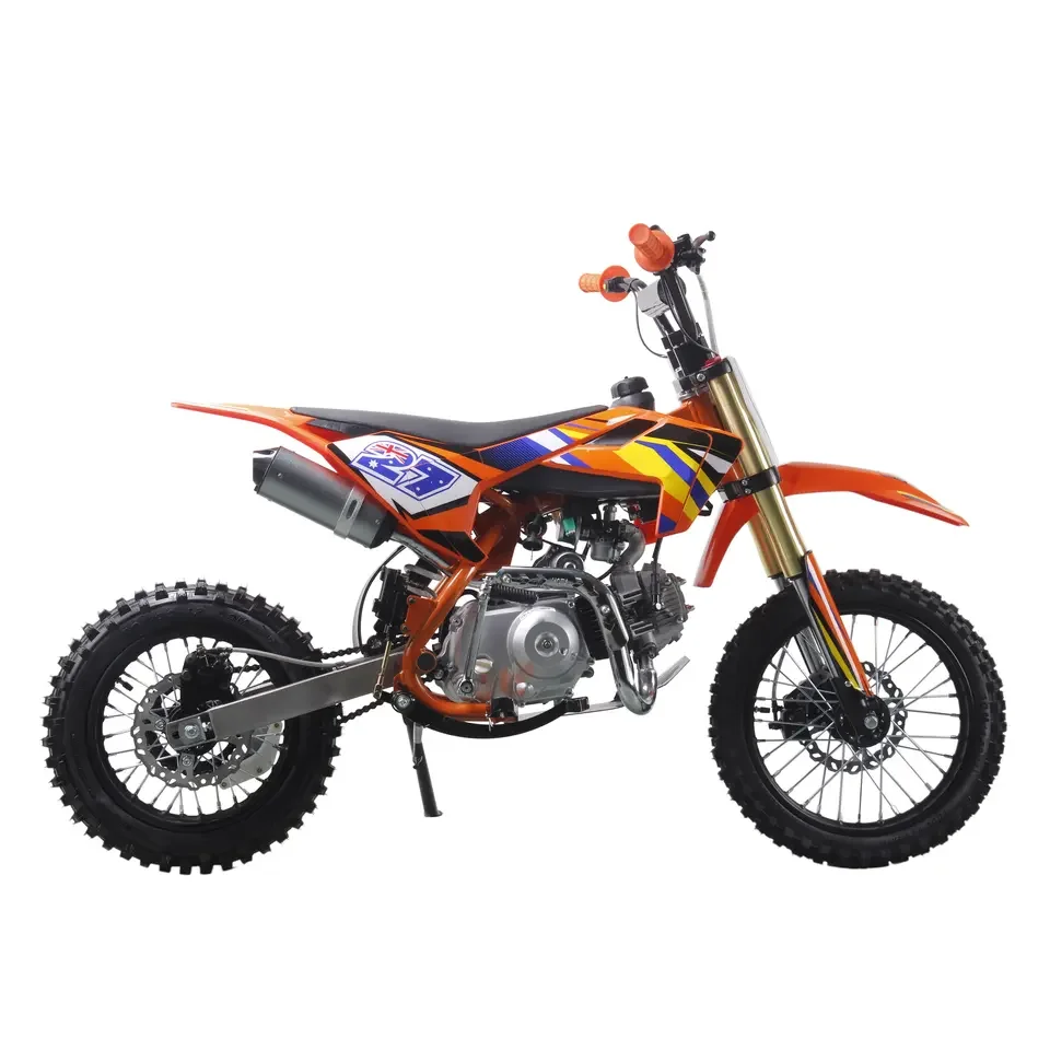 125cc Mini Motorcycle Four Stroke Kids Dirt Bike Kick Start Pit Bike