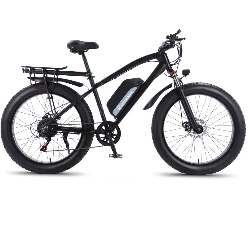 ebike double cruiser