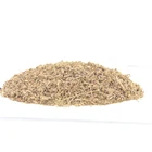 Factory Supply Herbs Nanheshi CAROTAE FRUCTUS Daucus Carota Organic Herbs Nanheshi Wholesale